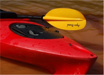 Kayak